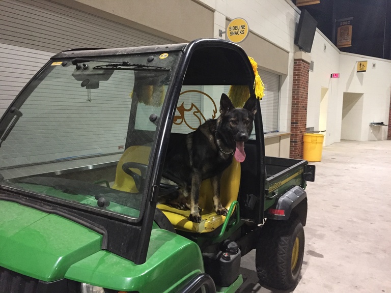 K9 Jago poses for a photo in Kinnick Stadium.